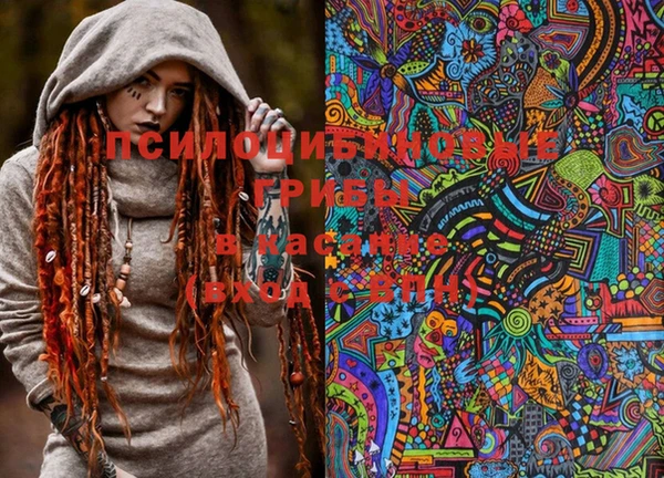 PSILOCYBIN Алексин
