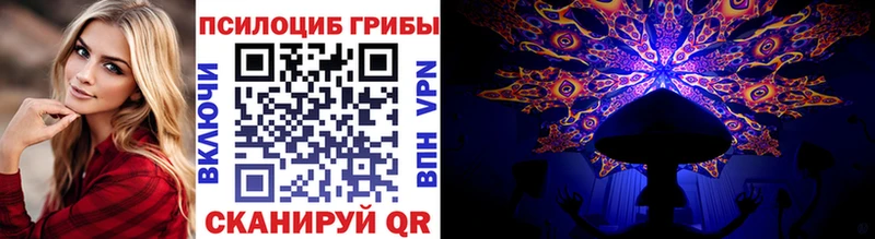 магазин Почеп Галлюциногенные грибы Psilocybine cubensis